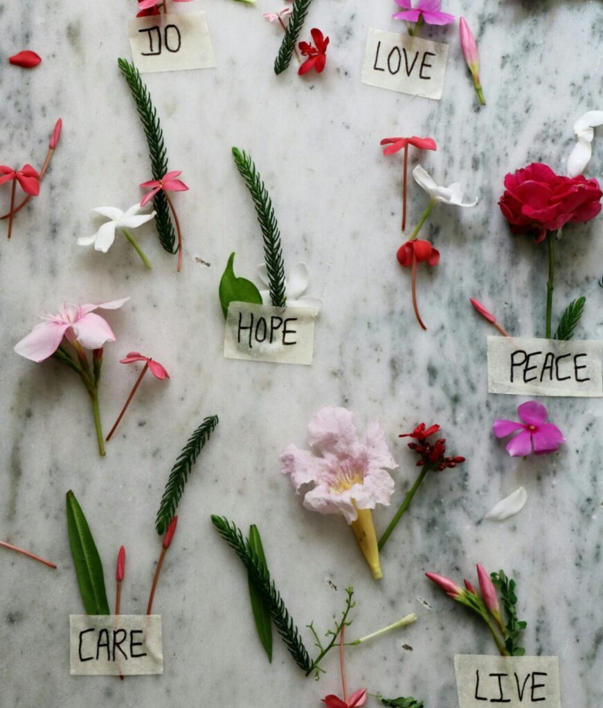 Make an impact volunteering in the social services field